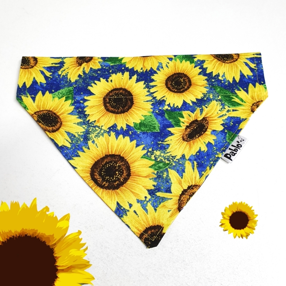 🐶 5 for $15 * Pablo Reversible Sun Flower Dog Bandana